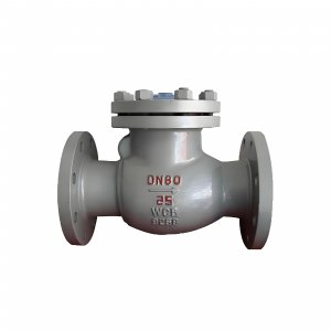 DN50 PN25 介質(zhì)：甲胺，溫度：80℃止回閥
